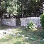 Darinka * Novi Vinodolski