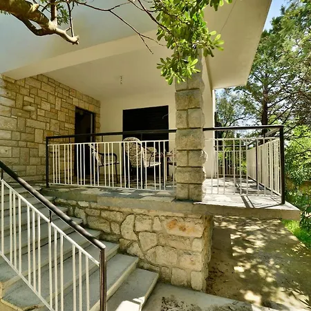 Darinka * ノヴィ・ヴィノドロスキー