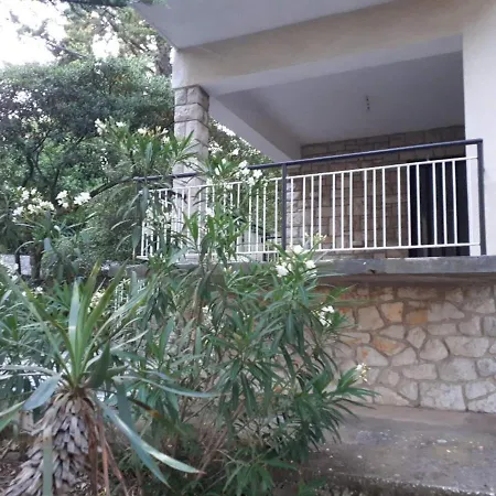 Darinka * נובי ווינודולסקי