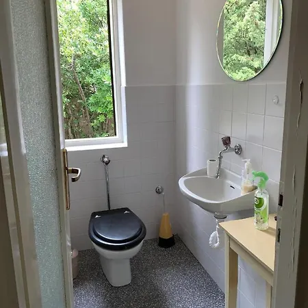 Darinka נובי ווינודולסקי